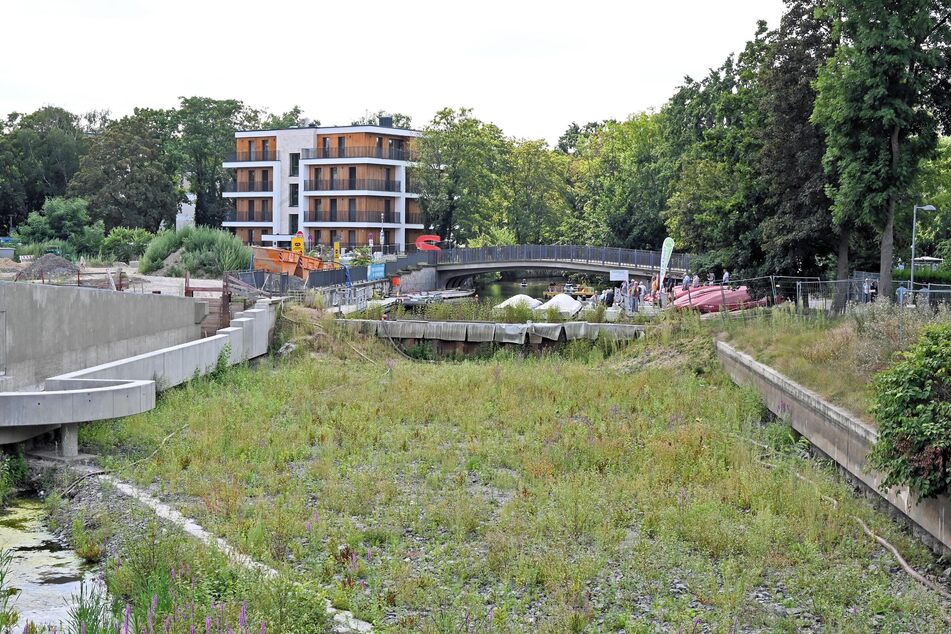 Der Leipziger Stadthaften befindet sich momentan in einem "wilden" Zustand.