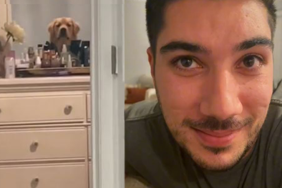 Ist dieser Golden Retriever eine tödliche Gefahr? Herrchen strapaziert Lachmuskeln!