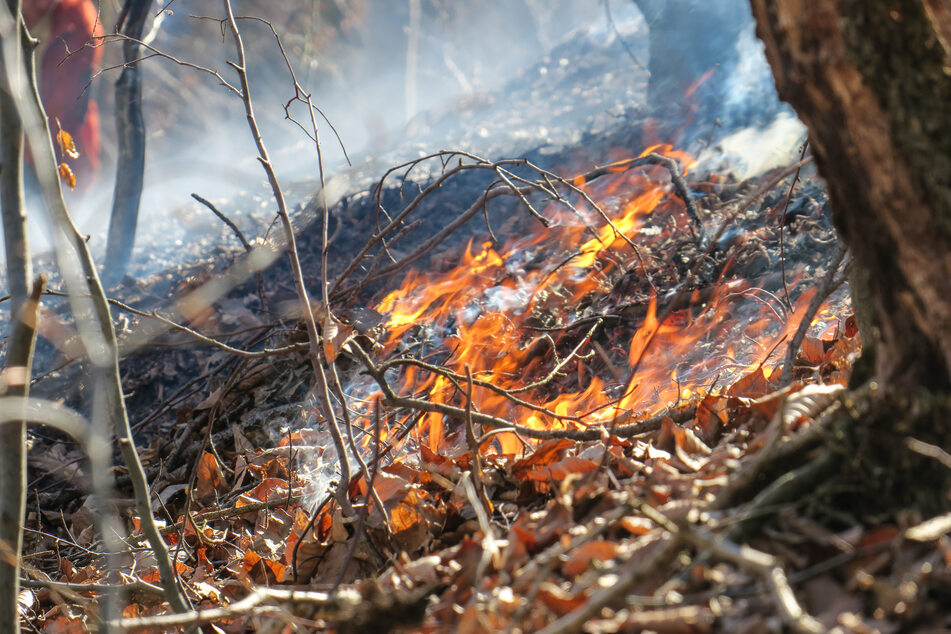 Vergangene Woche brannte es in einem Waldstück bei Aue. Die Waldbrandgefahr im Erzgebirge ist laut dem Sachsenforst als "mittlere Gefahr" einzustufen.