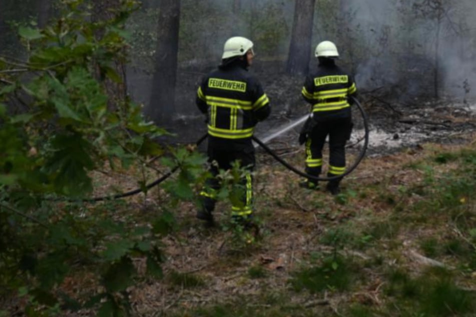 Hunderte Quadratmeter Wald brennen lichterloh: Polizei steht vor einem Rätsel