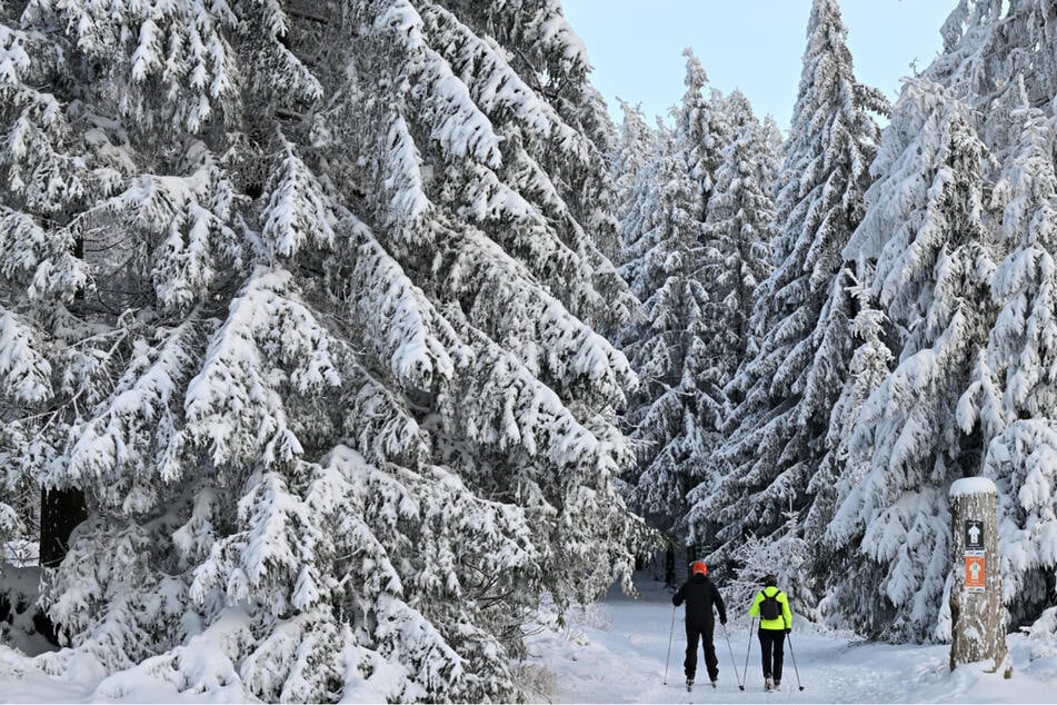 Schneefall im Thüringer Wald: Langlaufstrecken werden präpariert