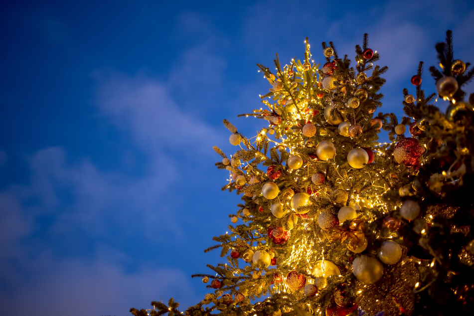Schon im Mai? Stadt Apolda schaltet Weihnachtsbaum-Anzeige
