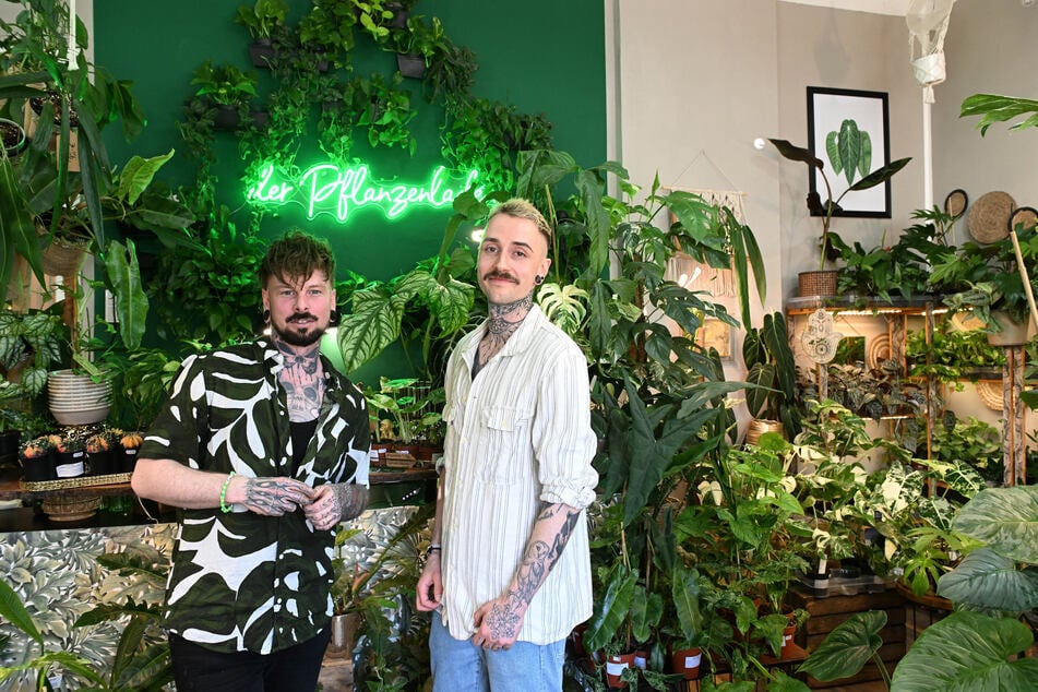 Tom Schätzler (37, l.) und Tony Wolf (28) im grünen Dschungel ihres Pflanzenladens.