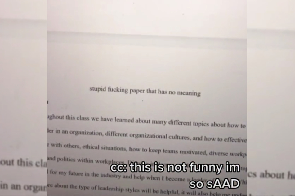 Funny or rude? A rather unusual title for a mid-term paper.