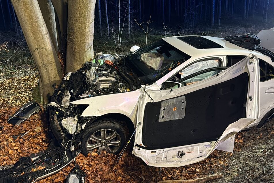 Auf der L21 bei Summt (Gemeinde Mühlenbeck) krachte ein Auto gegen einen Baum.