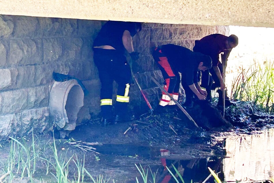 Der Hund war unter einer Brücke in den Schlamm gesunken und musste befreit werden.