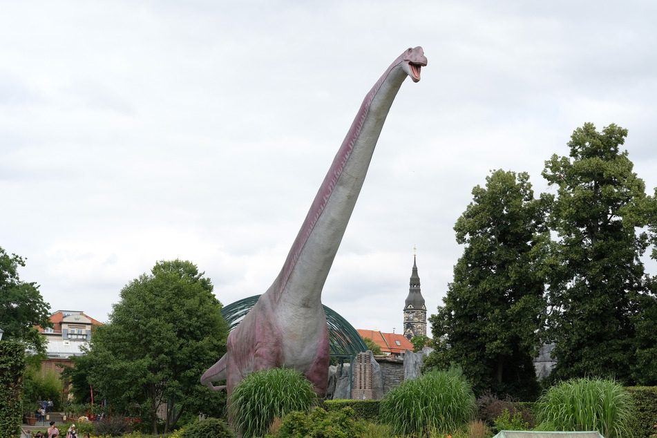 Ein Modell des Argentinosaurus im Zoo Leipzig. Das zwölf Meter hohe Tier wurde von acht Menschen und zwei Kränen aufgebaut.