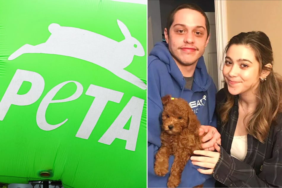 Pete Davidson left a profanity-laden voicemail for a member of the animal rights group PETA, who criticized him for buying a puppy instead of adopting.
