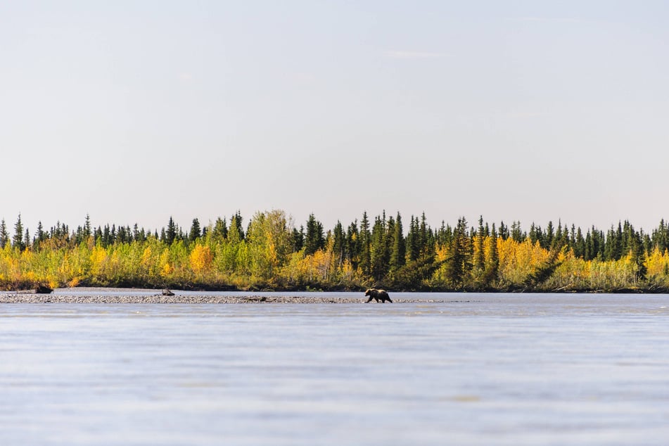 Biden administration axes old Trump order in move to protect Alaska public lands