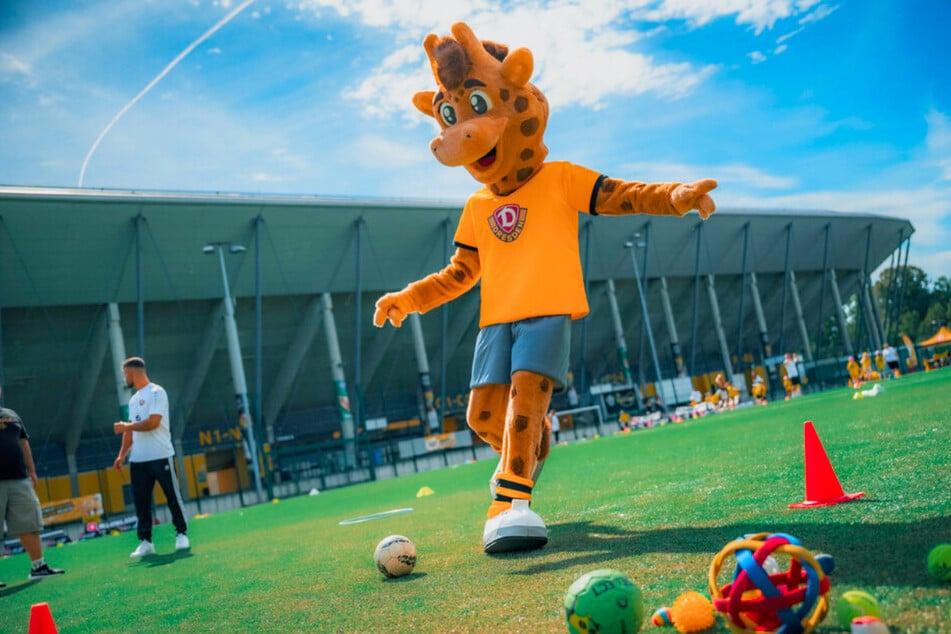 Mitglieder der Giraffenbande von Dynamo können sich darauf freuen