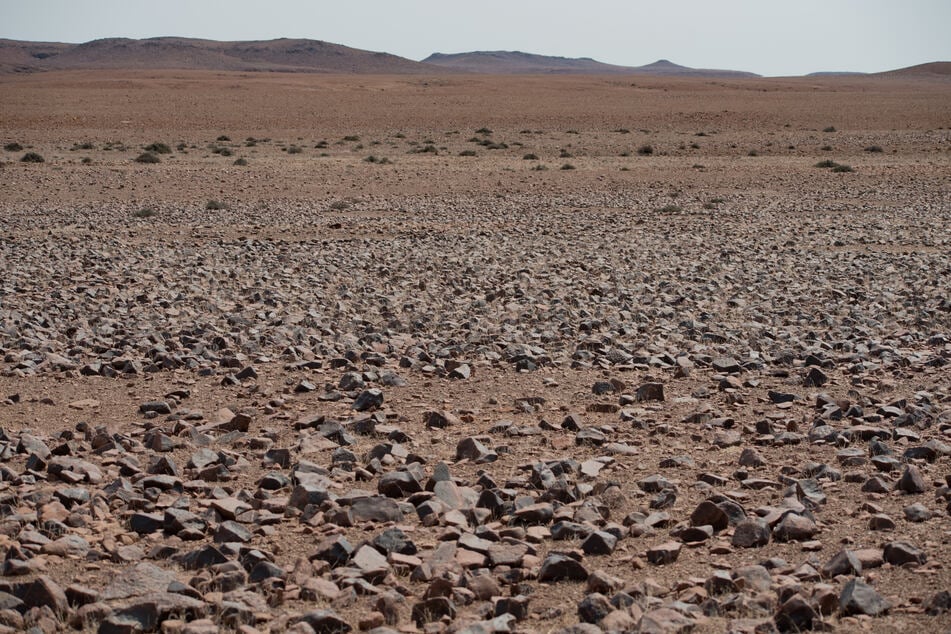 Die Sahara ist zu großen Teilen eine Steinwüste, auch Hammada genannt. (Symbolbild)