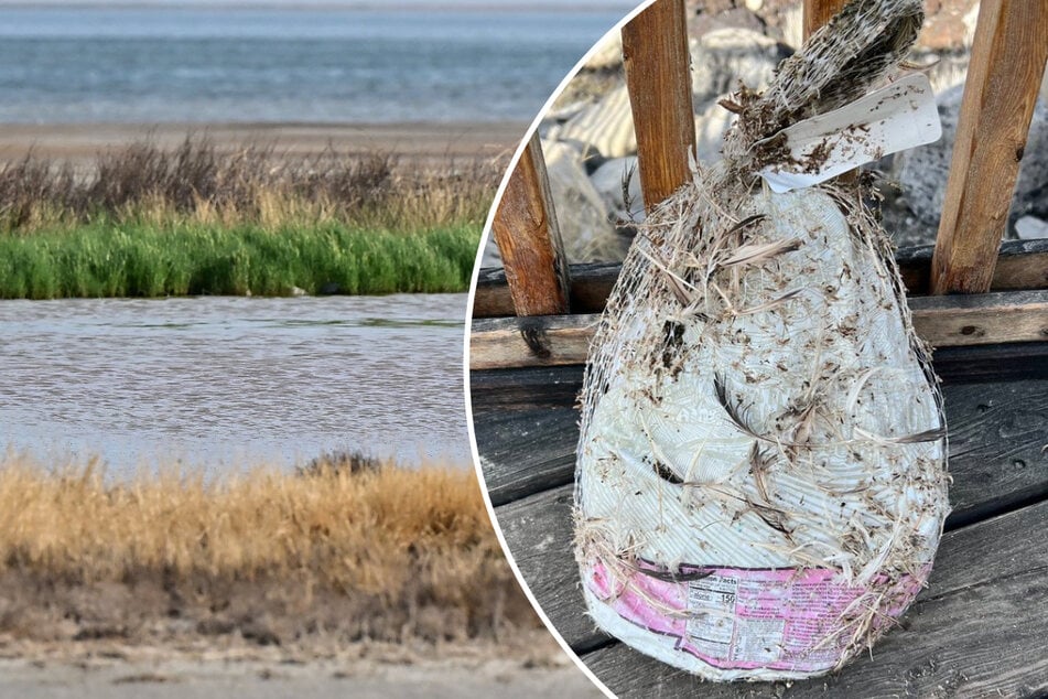 As hundreds of millions of Americans get ready to celebrate Thanksgiving with a huge feast, park managers are warning budding chefs not to brine their turkey in Great Salt Lake.