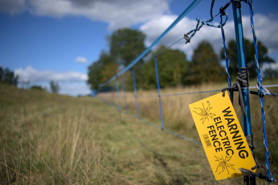 Ein Schild "Warning Electric Fence" hängt an der Grenze zu Polen an einem blauen Elektrozaun.