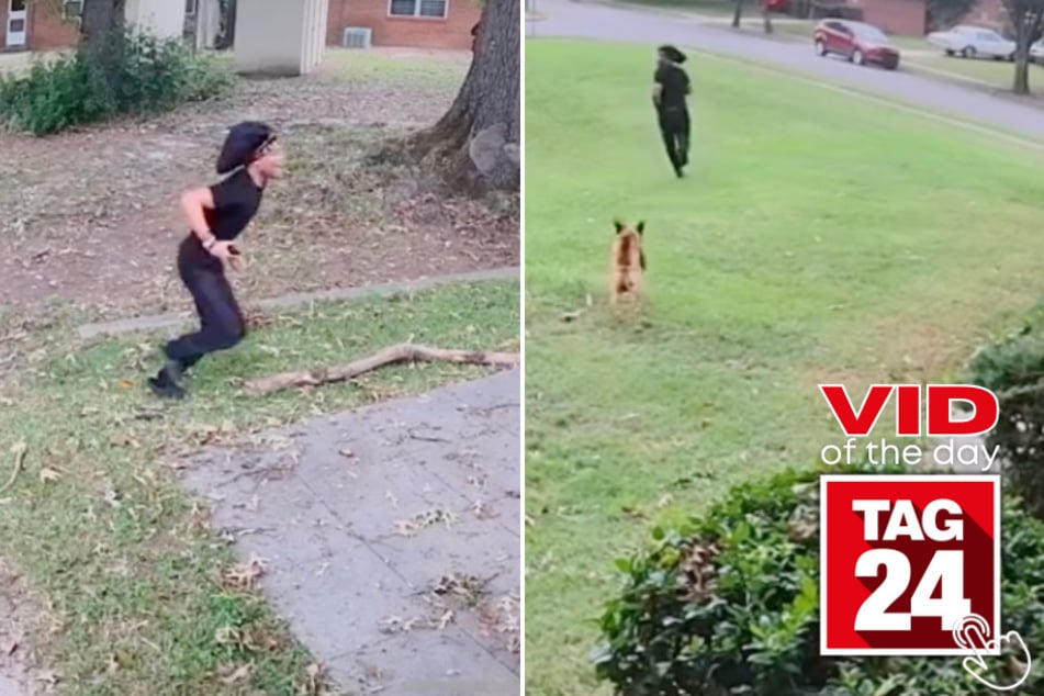 Today's Viral Video of the Day features a man who was caught narrowly escaping a canine chase on a random woman's house camera.