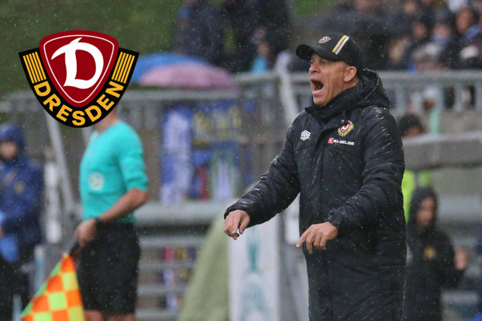 Dynamo-Coach Anfang fühlt sich vom DFB im Regen stehengelassen