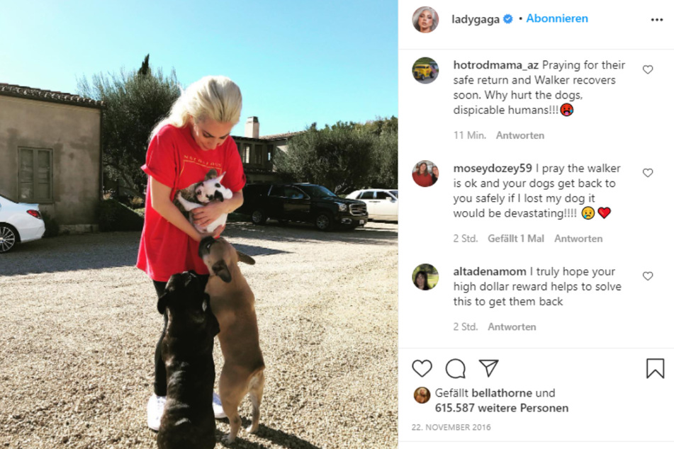 Auf Instagram drückten zahlreiche Fans ihr Mitleid aus. "Hoffentlich geht es den Hunden gut", schrieb ein Follower.