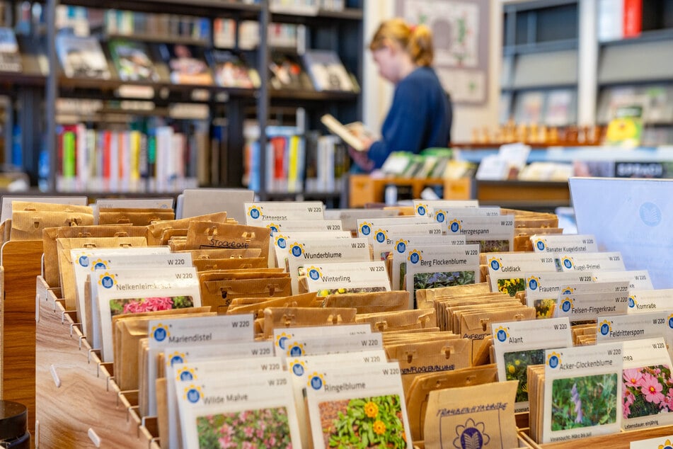 In der zweiten Etage der Zentralbibliothek stehen die Saatgut-Tüten sortiert in Zettelkästen für die Besucher griffbereit.