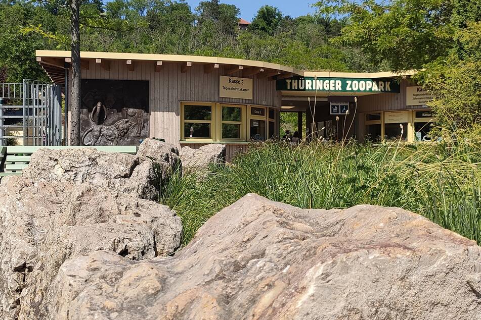 Im Thüringer Zoopark Erfurt gibt es am Samstag (24. August) einiges zu erleben. (Archivbild)