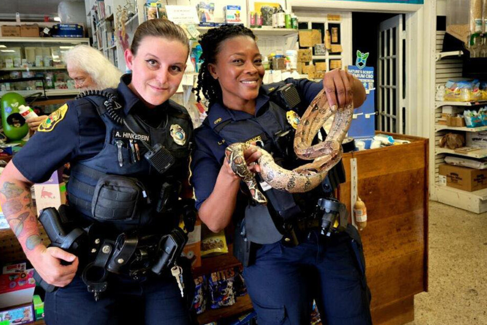 Members of the Clearwater Police Department posed with the king boa as they re-homed it to a local pet store.
