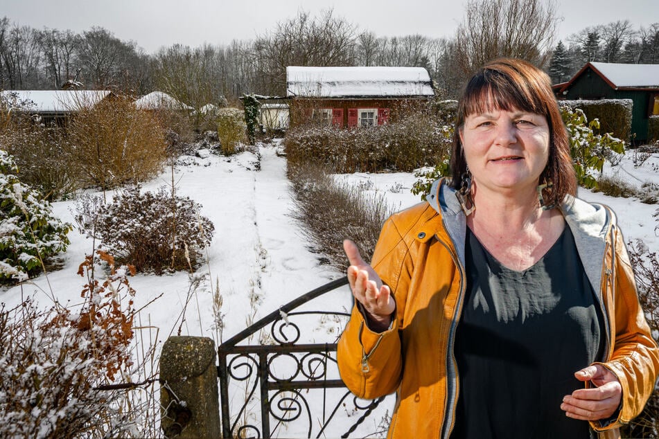 Mehr als zehn Prozent Leerstand: Nachwuchs-Sorgen in Chemnitzer Gartensparten