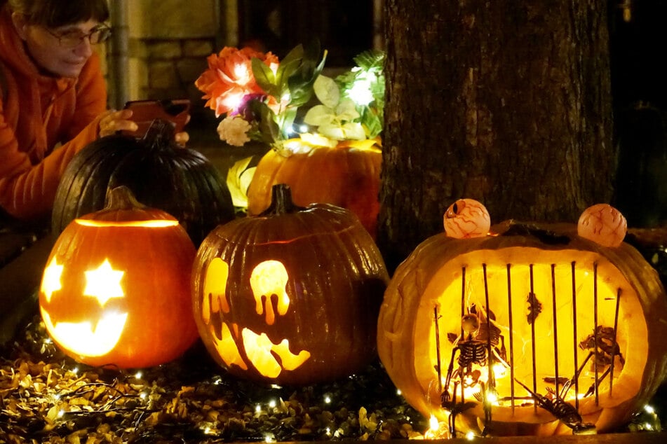 Mit viel Liebe wurde aus dem Gemüse Kunst gefertigt.