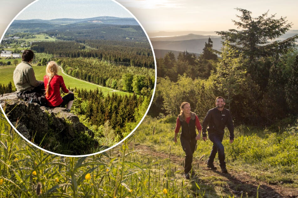 Sommerurlaub in der Heimat: Dieser wunderschöne Wanderweg liegt in Sachsen