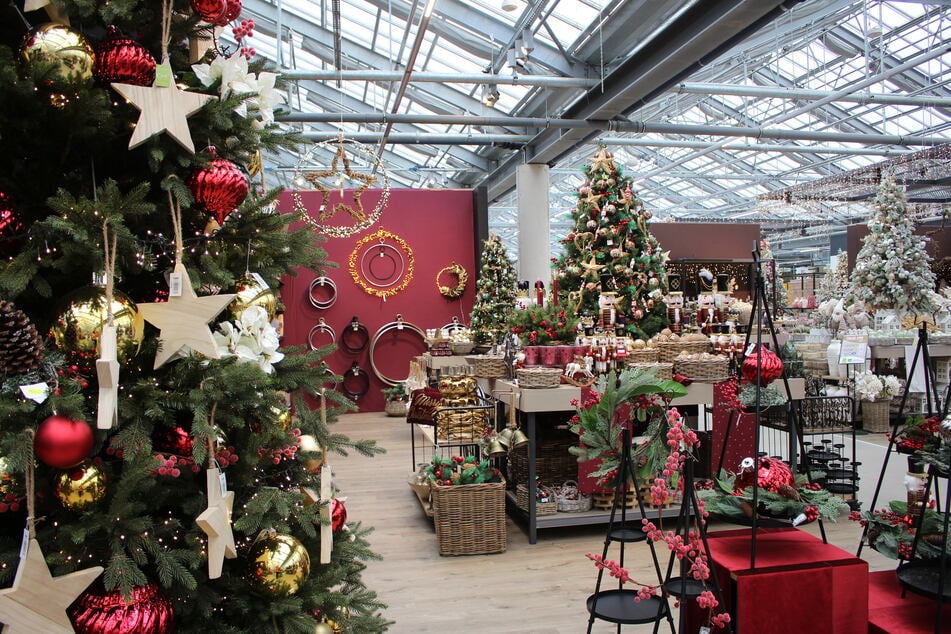 Die XXL Weihnachtswelt im Gartencenter Matthies begeistert auch in diesem Jahr wieder mit vielen Highlights.