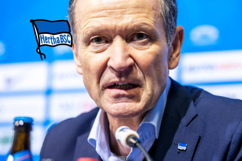 Hertha-Geschäftsführer wird deutlich: "Sanierungsfall"