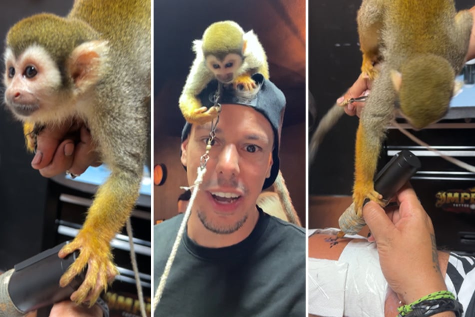 Funky Matas made history by becoming the first person to get tattooed by a monkey.