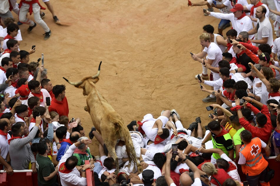 Eine berühmte Stierhatz findet jedes Jahr Anfang Juli beim Sanfermín-Fest in Pamplona im Norden von Spanien statt.