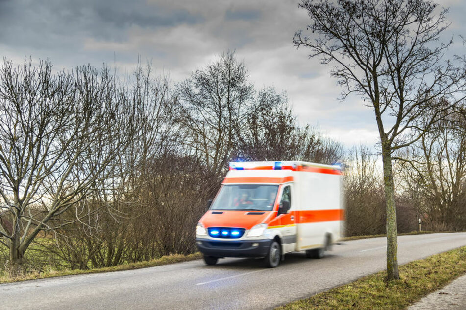 Fahrdienst kracht gegen Baum: Mehrere Verletzte, darunter auch ein Kind