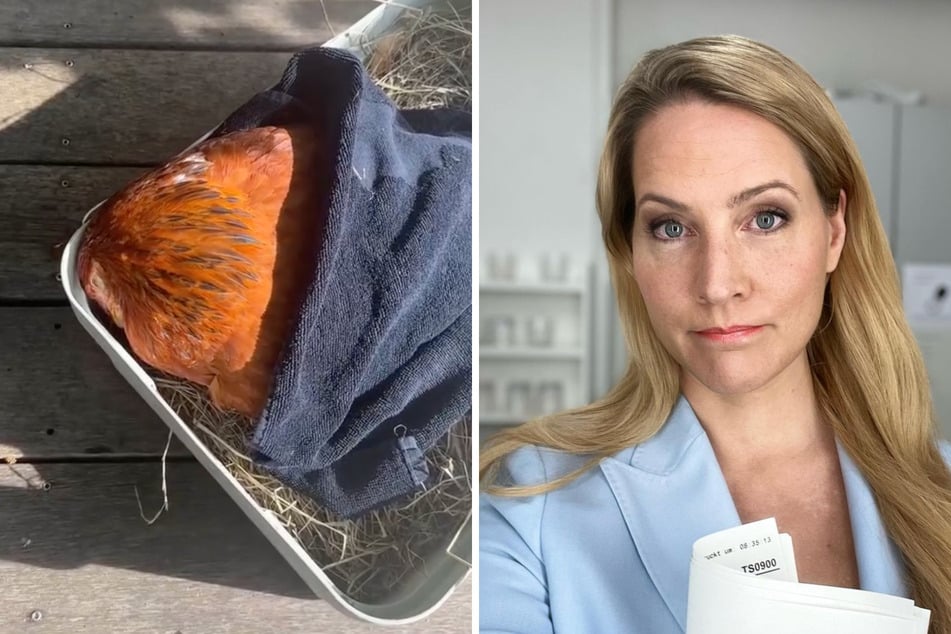 Judith Rakers (48) muss den Tod einer geliebten tierischen Mitbewohnerin verkraften.