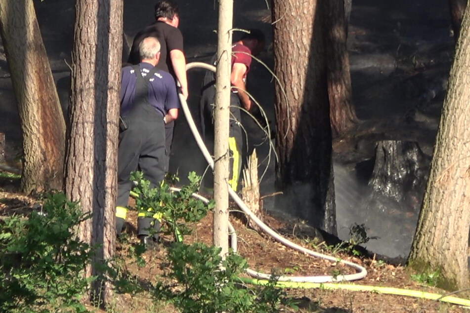 Flugzeug entdeckt zufällig Brand in Bonner Waldgebiet: Feuerwehr stundenlang im Einsatz
