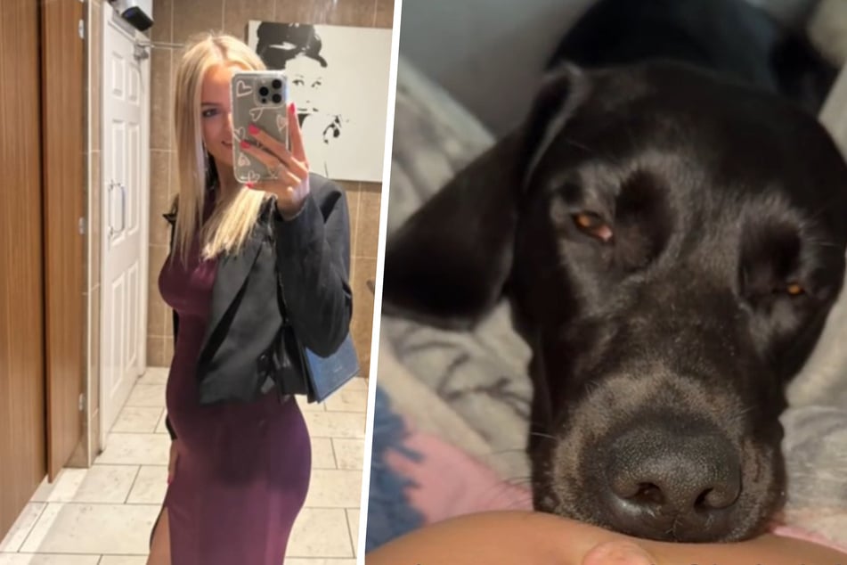 Cassie Woodall befindet sich in anderen Umständen, erwartet ihr erstes Baby. Labrador-Hündin Darla kann davon inzwischen ein Liedchen jaulen.