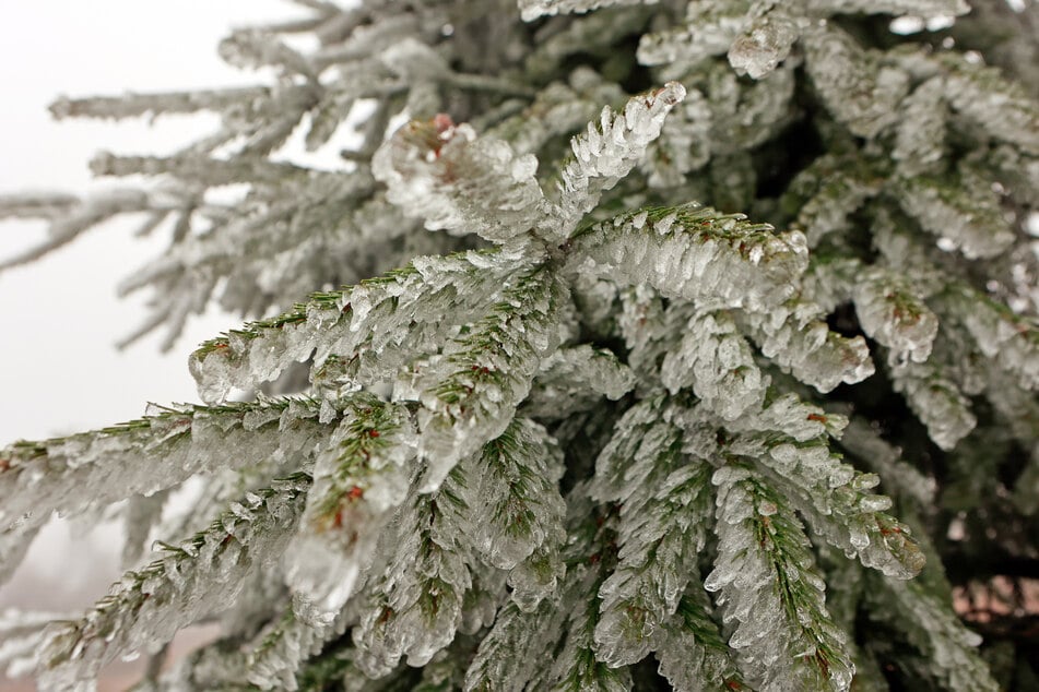 Schnee an Weihnachten in NRW? Experten geben leise Hoffnung