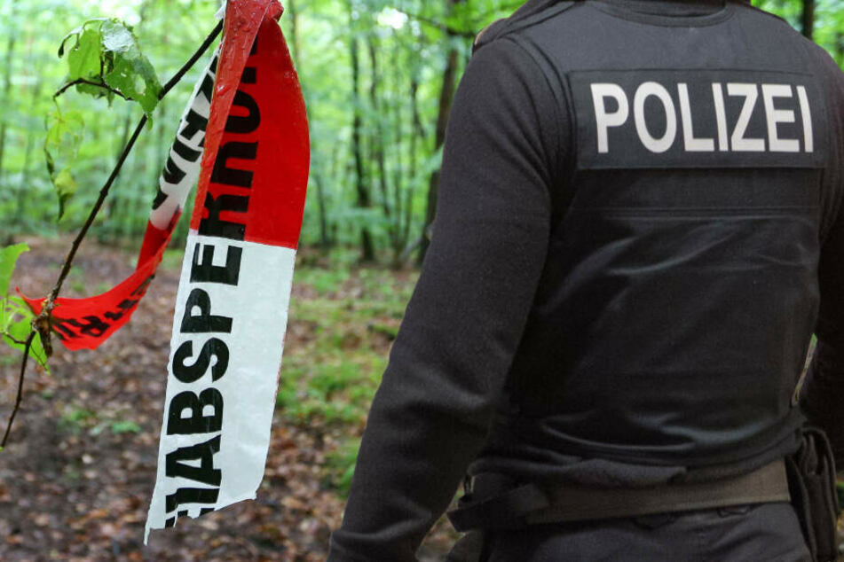 Fotomontage: Die Polizei durchsuchte auf der Suche nach der 43-Jährigen zunächst auch mehrere Waldstücke (Symbolfoto).