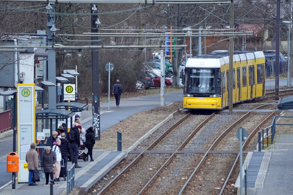 In den meisten deutschen Städten gehe der Ausbau allerdings kaum voran. Negativ-Spitzenreiter: Berlin. Die Hauptstadt verzeichnete Greenpeace zufolge zuletzt sogar einen Rückgang von 7,1 Prozent.