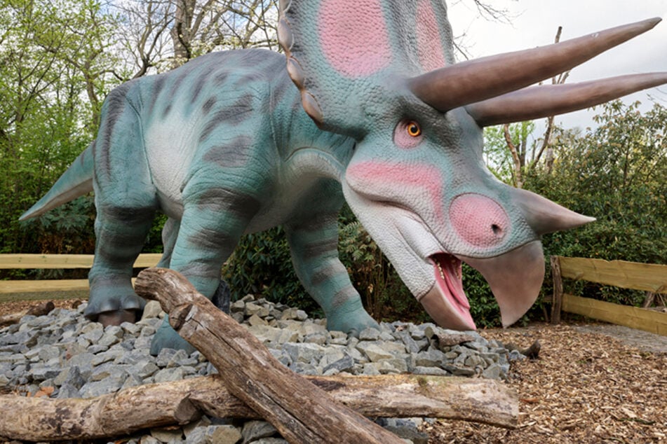 Dino-Ausstellung im Leipziger Zoo wird um ein Jahr verlängert
