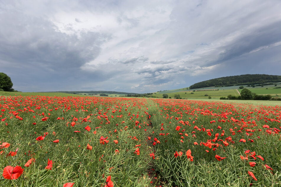 Auch zur Wochenmitte bleibt das Wetter in NRW wechselhaft. Immer wieder ziehen Wolken, Schauer und einzelne Gewitter durch. (Symbolbild)