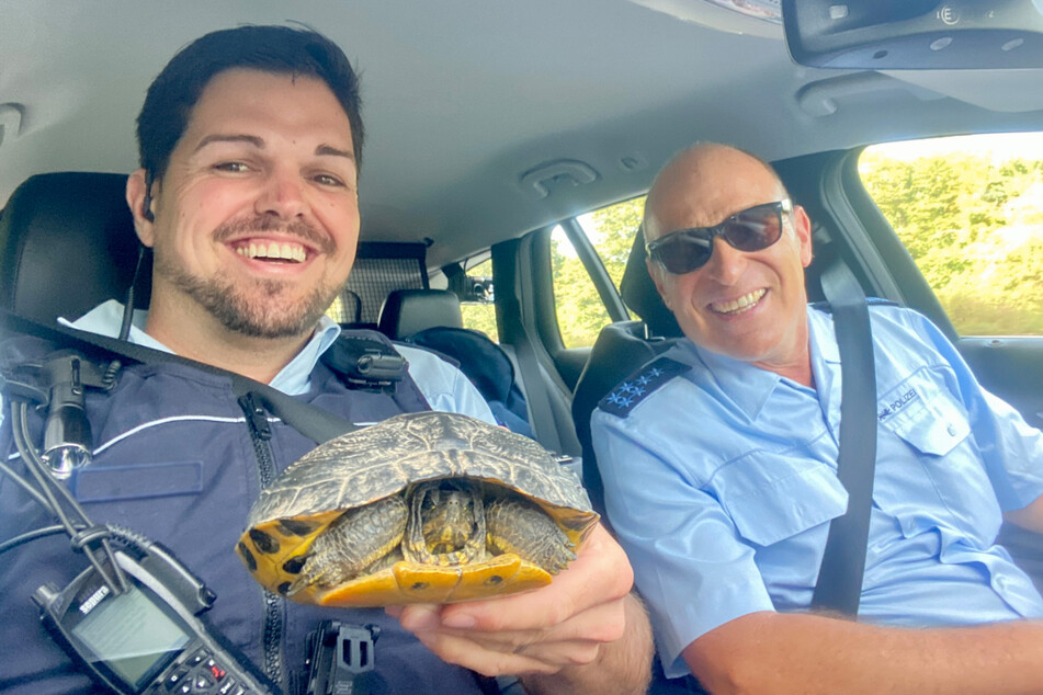 Eine gerettete Schildkröte zauberte der Polizei im Ortenaukreis ein Lächeln ins Gesicht.