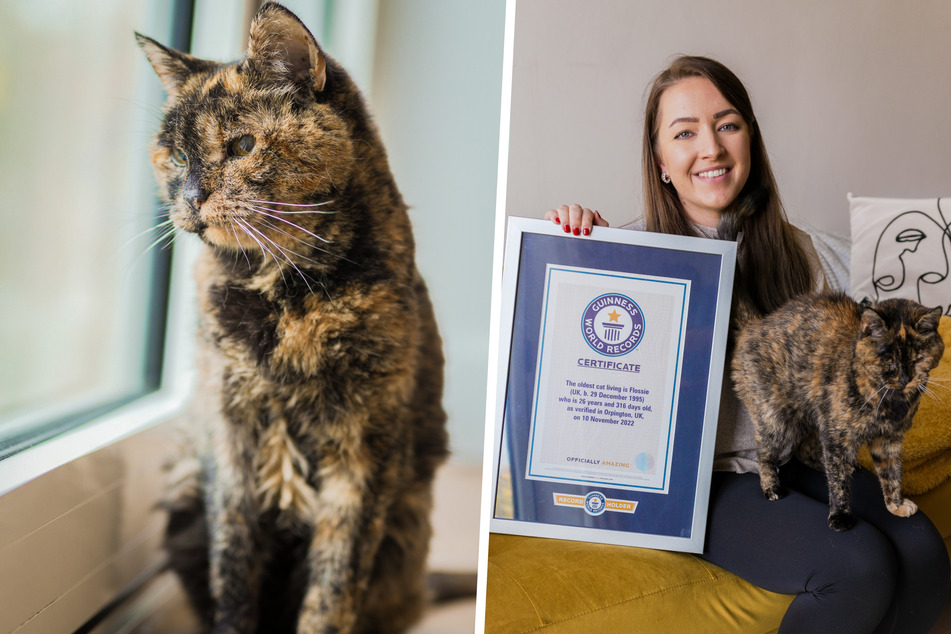 Kurz vor ihrem 27 Geburtstag darf sich Flossie nun offiziell, als älteste Katze der Welt bezeichnen.