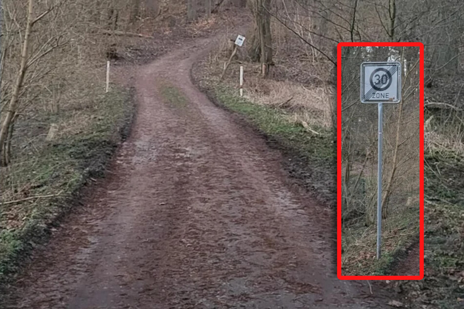 Netz rätselt über Verkehrsschild im Wald: Wie schnell darf man hier fahren?