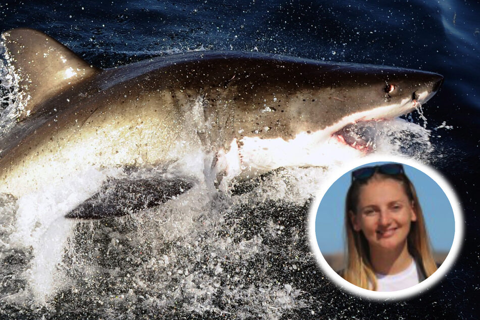 Weißer Hai greift Taucherin an: Zwei Operationen im Gesicht!