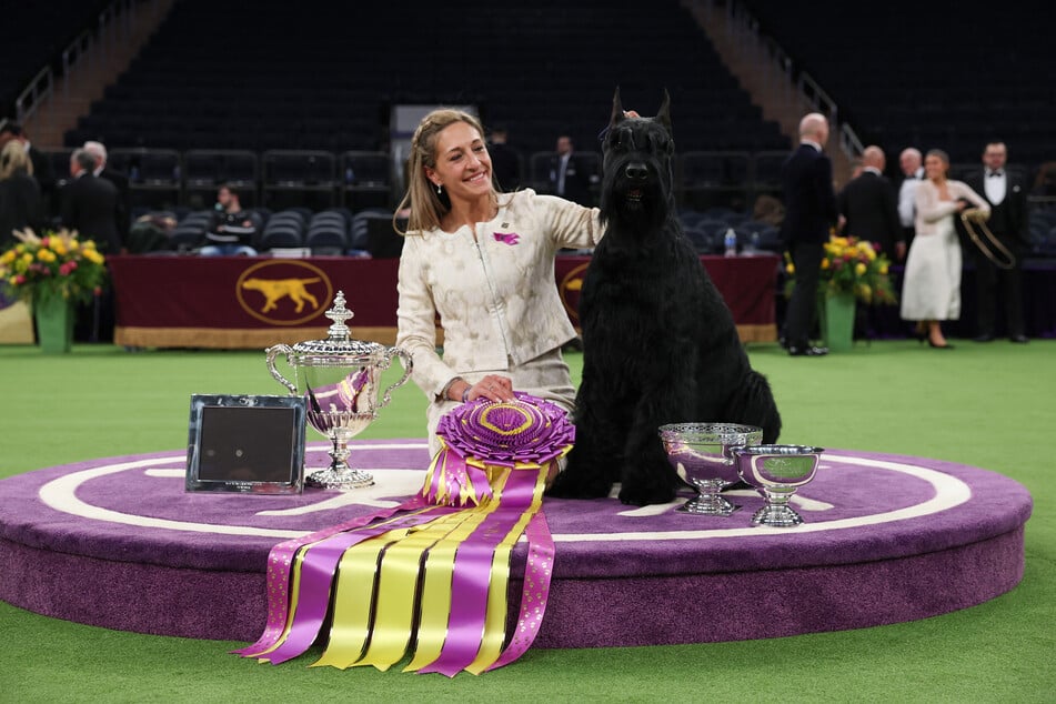 Katie Bernardin and Monty, a Giant Schnauzer, celebrate after winning the Best Dog of the Show award at the 149th Westminster Kennel Club Dog Show.