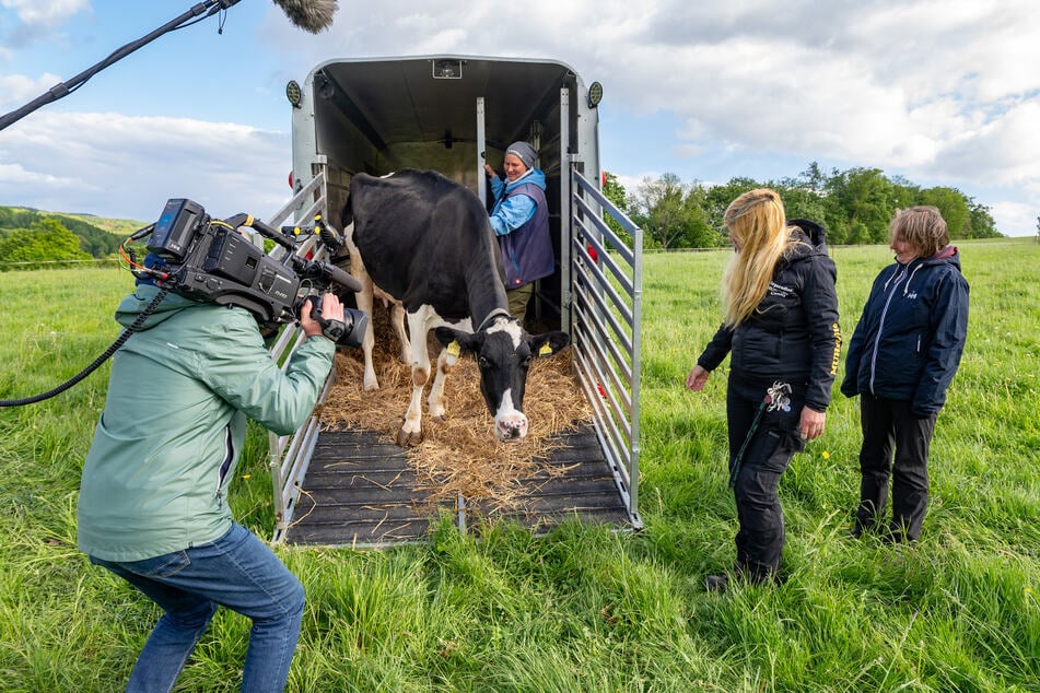 Unterstützt wurden die ehrenamtlichen Tierschützer auch von der Sachsengarage, die für den Transport einen Land-Rover zur Verfügung stellte.