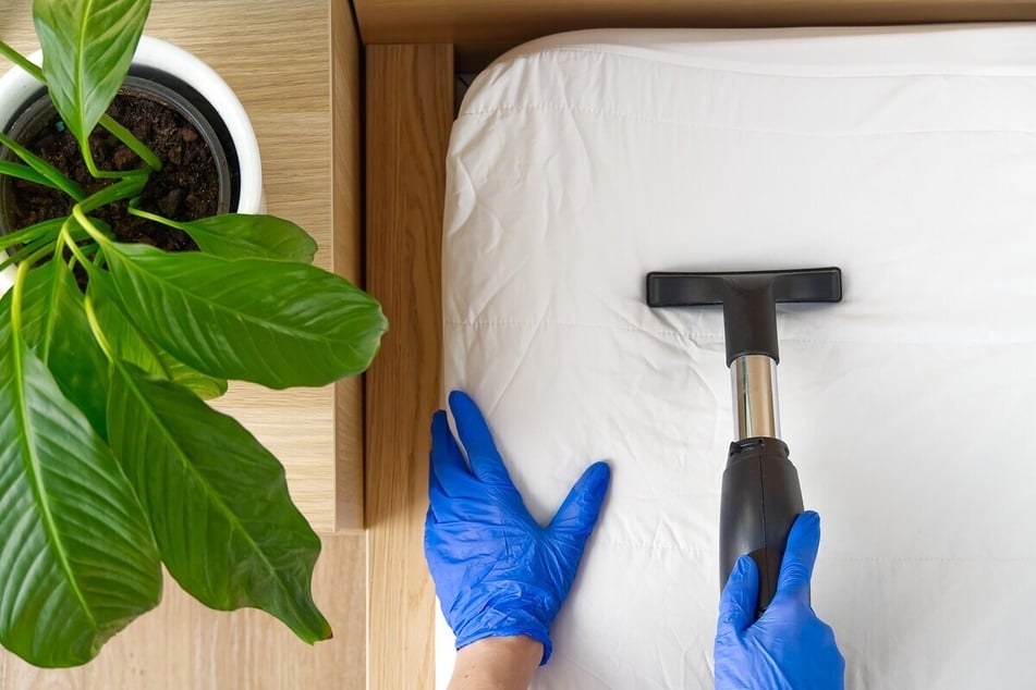 Matratze reinigen: hygienisch rein und fleckenfrei mit Hausmitteln