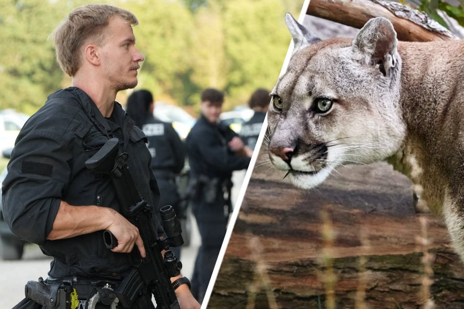 Einsatzkräfte suchen nach einem mutmaßlichen Puma, der sich in der Nähe des Münchner Flughafens herumtreiben soll.