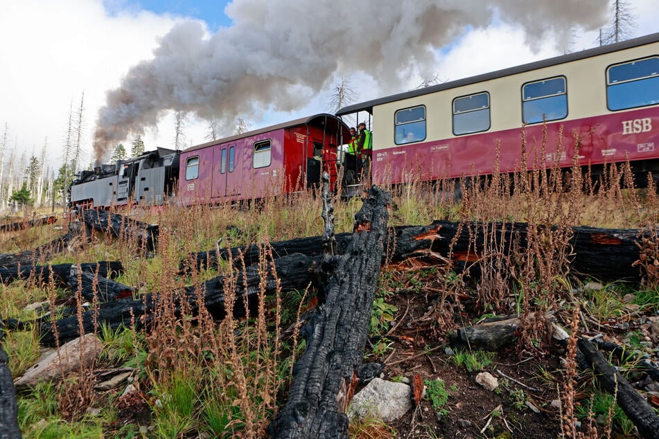 Während der hohen Waldbrandgefahr mussten die Schmalspurbahnen mit Dieselloks fahren. (Archivbild)