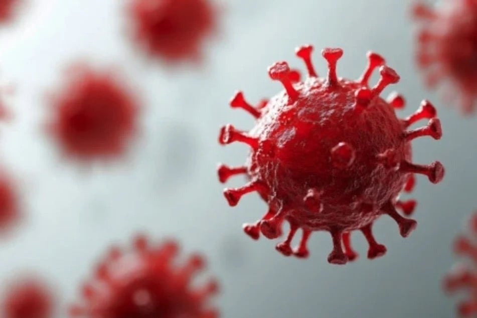 Der Erreger wurde inzwischen in 23 Ländern nachgewiesen. (Symbolbild)