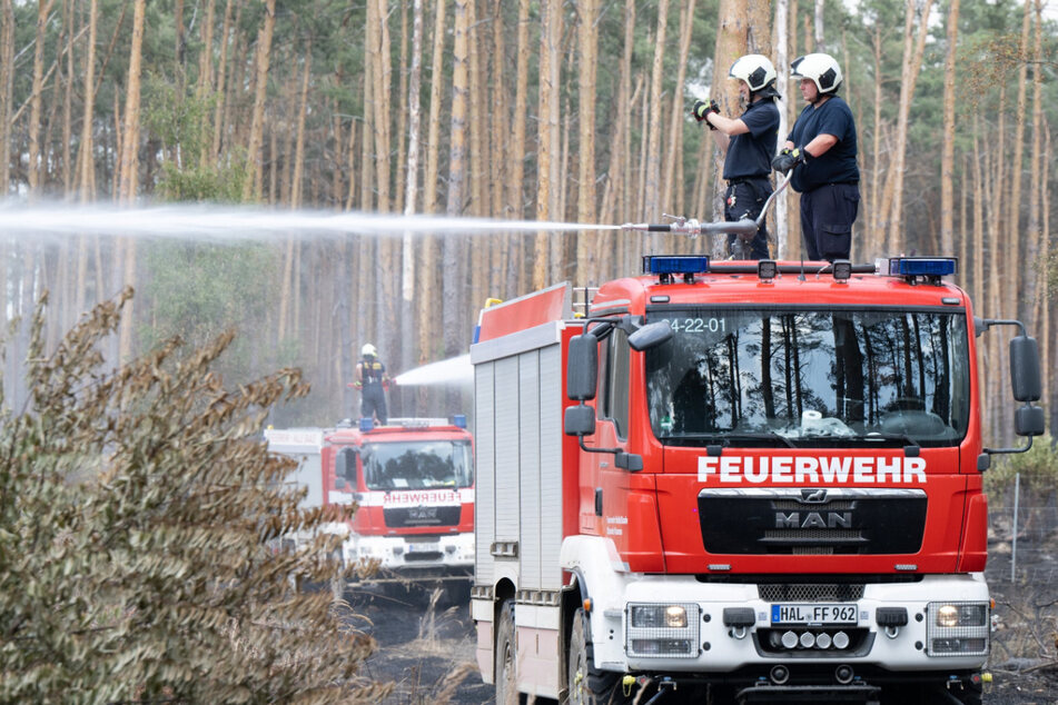 Ein Jahr nach den verheerenden Bränden: Waldbrand-Feuerwehr fehlt es noch immer an Ausrüstung
